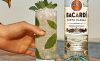Bacardi Superior